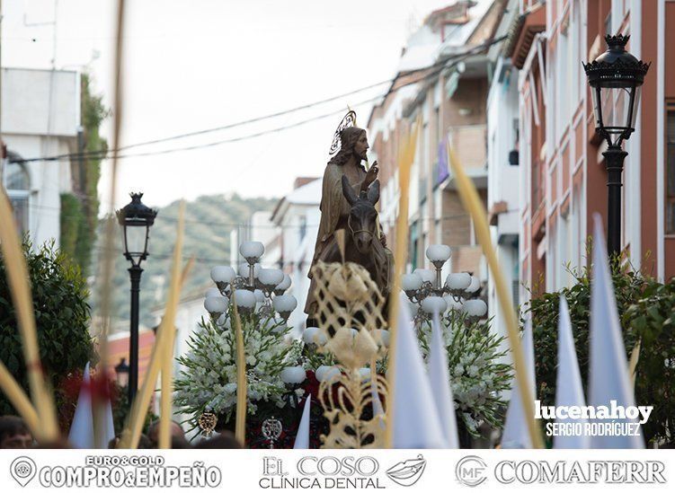 Galería: La Pollinita abre los desfiles procesionales de la Semana Santa de Lucena