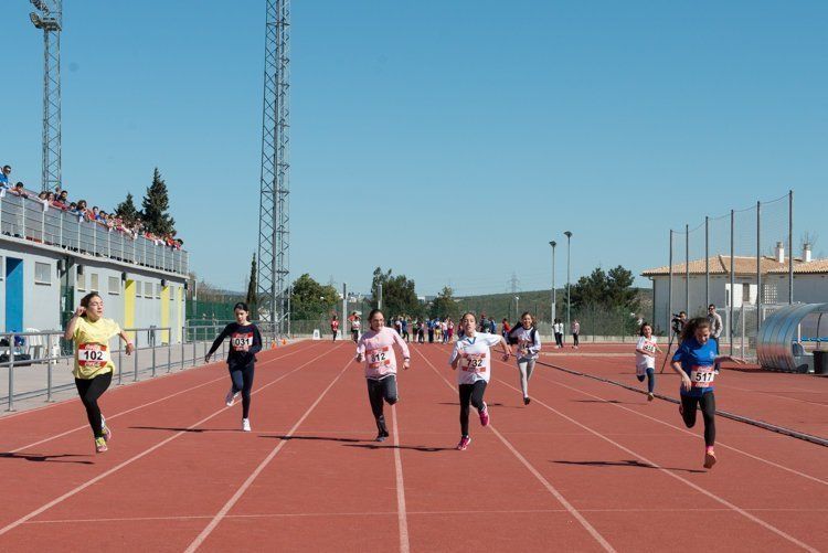 Galería: Más de 400 niños participan en la XIX edición de las Olimpiadas Escolares de Primaria