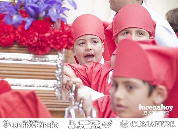 Galería: Un centenar de pasos y dos mil niños participaron en el Desfile de Procesiones Infantiles ante Ntro. Padre Jesús Nazareno Galería: Un centenar de pasos y dos mil niños participaron en el Desfile de Procesiones Infantiles ante Ntro. Padre Jesús Nazareno