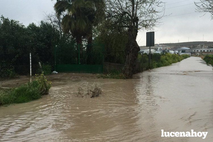 CAMINO DE TORREMOLINOS.jpg