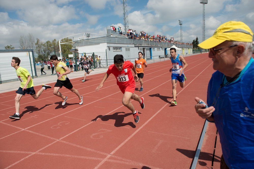 Galería: 450 estudiantes de los institutos lucentinos participan en las Olimpiadas de Secundaria.