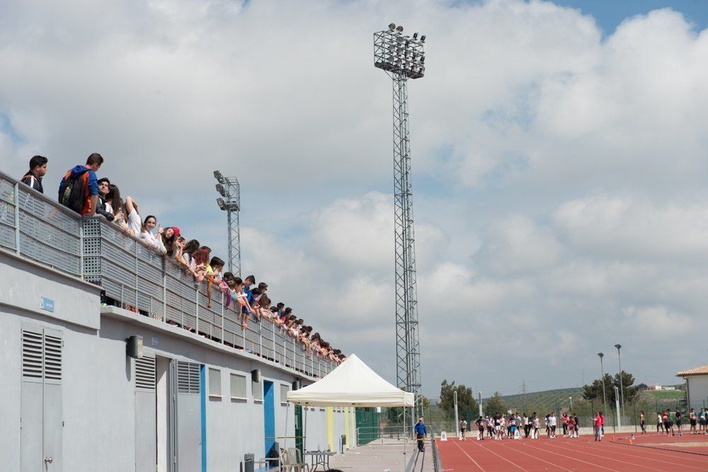 Galería: 450 estudiantes de los institutos lucentinos participan en las Olimpiadas de Secundaria.