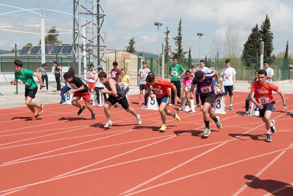 Galería: 450 estudiantes de los institutos lucentinos participan en las Olimpiadas de Secundaria.