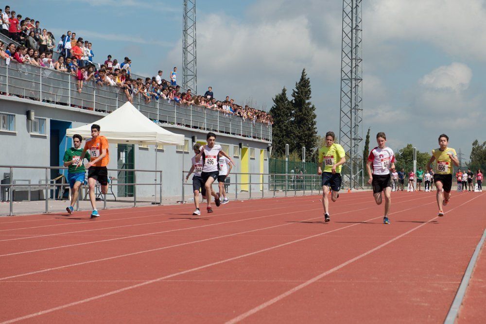 Galería: 450 estudiantes de los institutos lucentinos participan en las Olimpiadas de Secundaria.