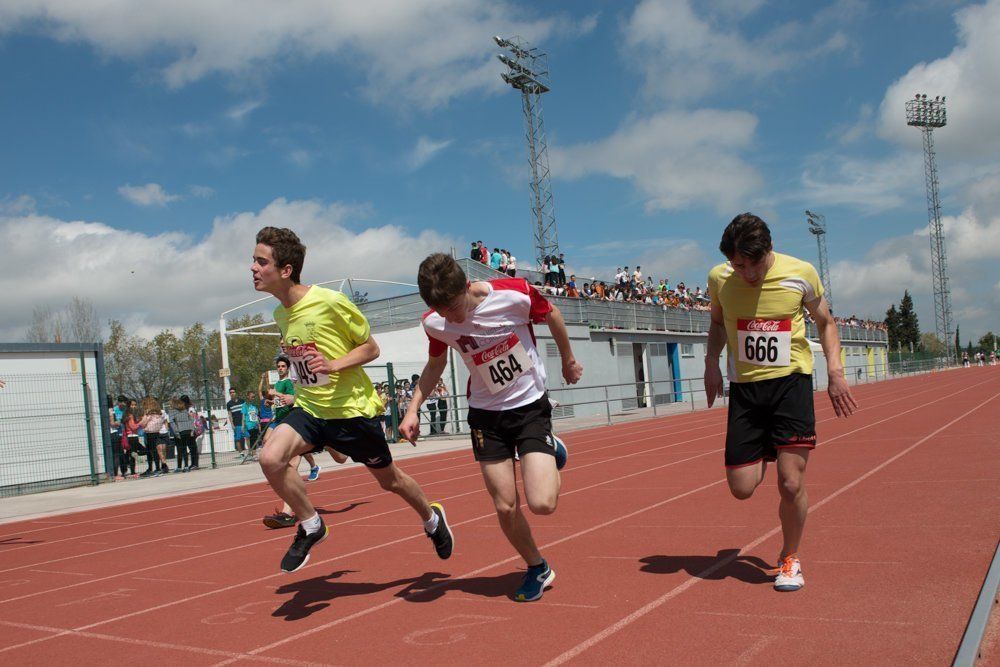 Galería: 450 estudiantes de los institutos lucentinos participan en las Olimpiadas de Secundaria.