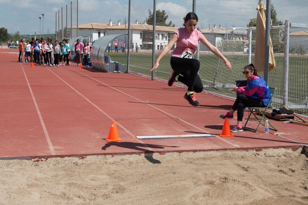 Galería: 450 estudiantes de los institutos lucentinos participan en las Olimpiadas de Secundaria.