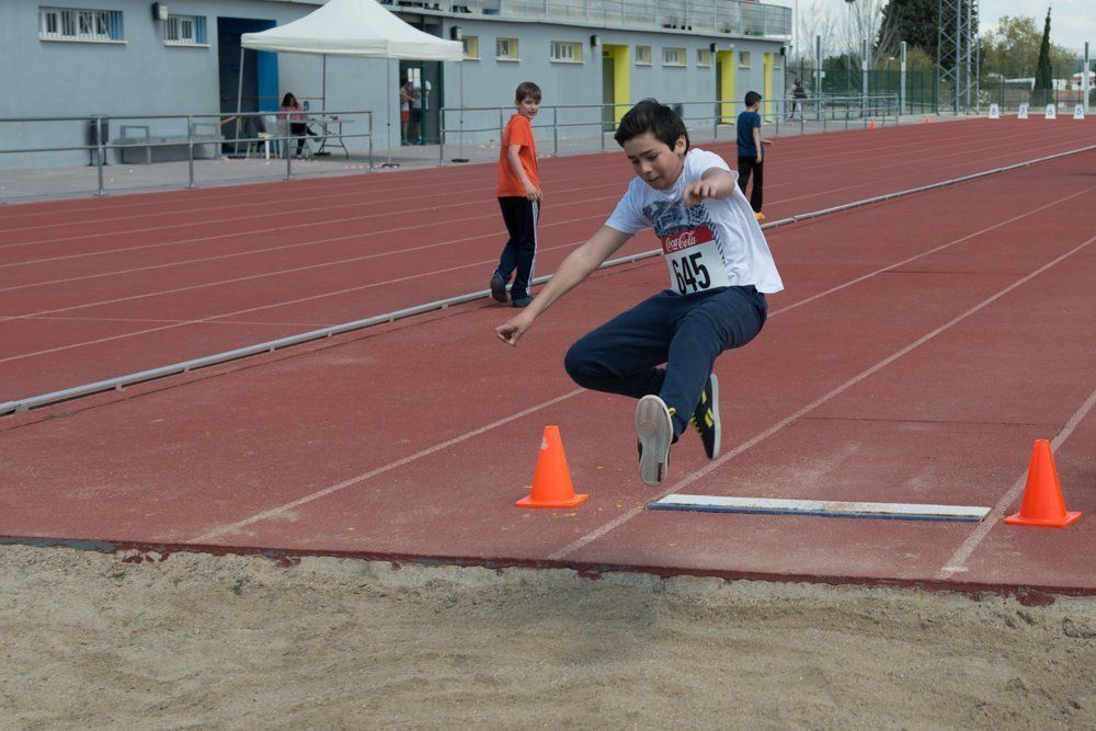 Galería: 450 estudiantes de los institutos lucentinos participan en las Olimpiadas de Secundaria.