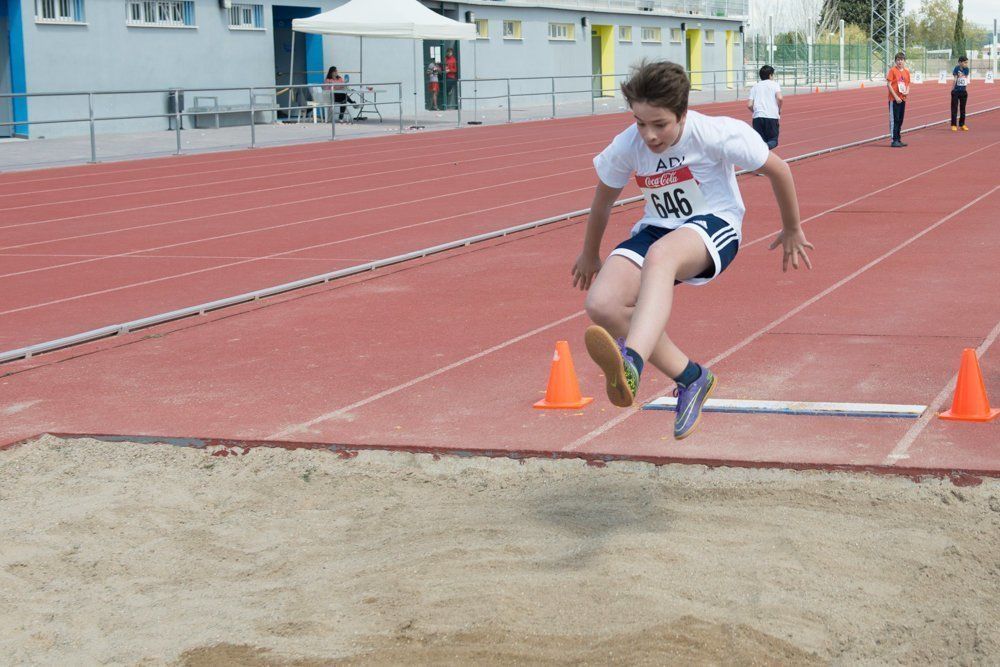 Galería: 450 estudiantes de los institutos lucentinos participan en las Olimpiadas de Secundaria.