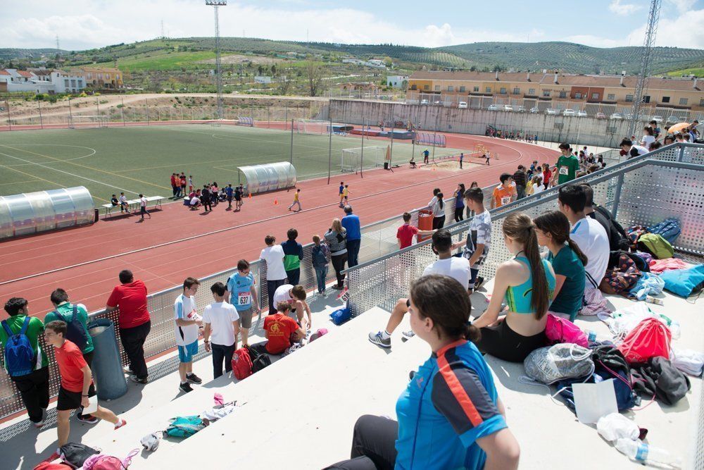 Galería: 450 estudiantes de los institutos lucentinos participan en las Olimpiadas de Secundaria.