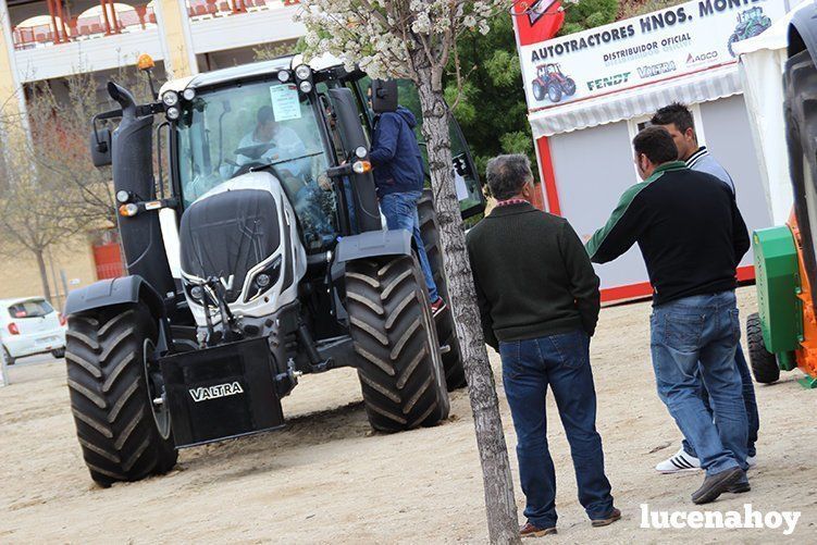 Galería: Mucho más que tractores, aceites y vino: Un paseo por la II Feria del Campo Andaluz
