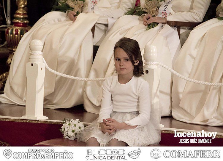 Galería: El pregón de Juan González Palma en honor a María Stma. de Araceli en fotos Galería: El pregón de Juan González Palma en honor a María Stma. de Araceli en fotos