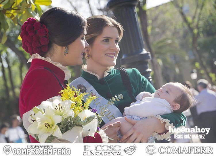 Galería: 'Con flores hasta María Stma. de Araceli", la ofrenda floral vista por 'Gitanito'