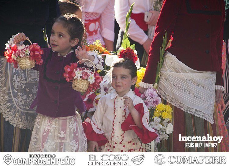 Galería: 'Con flores hasta María Stma. de Araceli", la ofrenda floral vista por 'Gitanito'