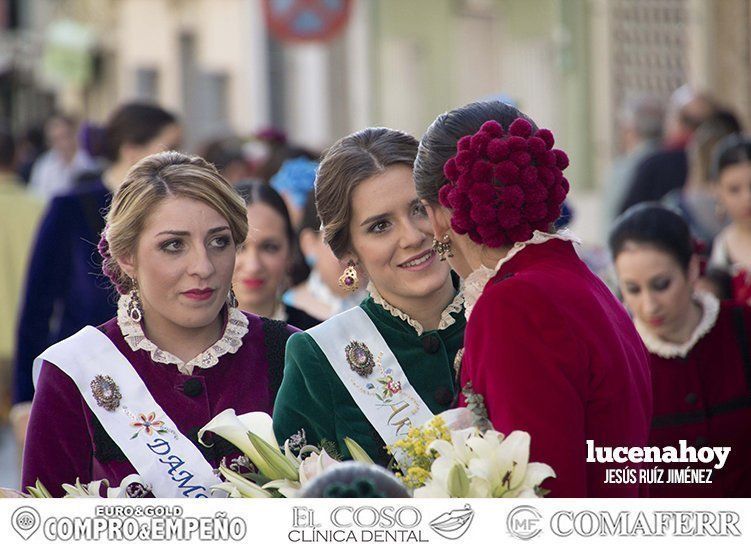 Galería: 'Con flores hasta María Stma. de Araceli", la ofrenda floral vista por 'Gitanito'