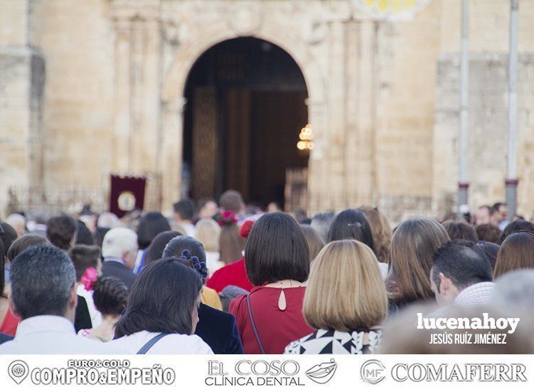 Galería: 'Con flores hasta María Stma. de Araceli", la ofrenda floral vista por 'Gitanito'