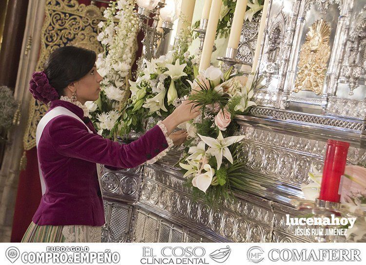 Galería: 'Con flores hasta María Stma. de Araceli", la ofrenda floral vista por 'Gitanito'