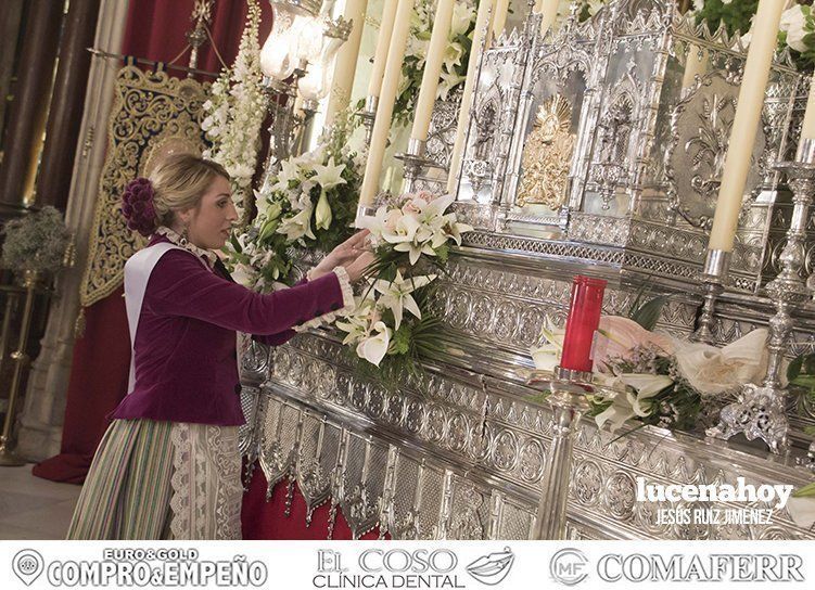Galería: 'Con flores hasta María Stma. de Araceli", la ofrenda floral vista por 'Gitanito'