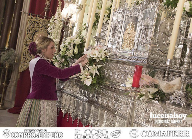 Galería: 'Con flores hasta María Stma. de Araceli", la ofrenda floral vista por 'Gitanito' Galería: 'Con flores hasta María Stma. de Araceli", la ofrenda floral vista por 'Gitanito'