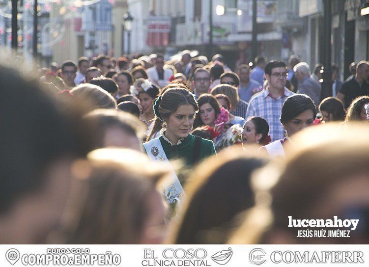 Galería: 'Con flores hasta María Stma. de Araceli", la ofrenda floral vista por 'Gitanito'