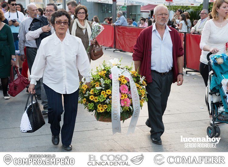 Galería: Ofrenda de flores: Una ingente manifestación de devoción aracelitana (I). Reportaje gráfico de Sergio Rodriguez