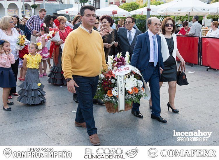 Galería: Ofrenda de flores: Una ingente manifestación de devoción aracelitana (I). Reportaje gráfico de Sergio Rodriguez