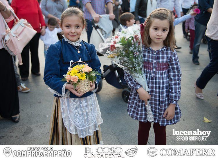 Galería: Ofrenda de flores: Una ingente manifestación de devoción aracelitana (I). Reportaje gráfico de Sergio Rodriguez