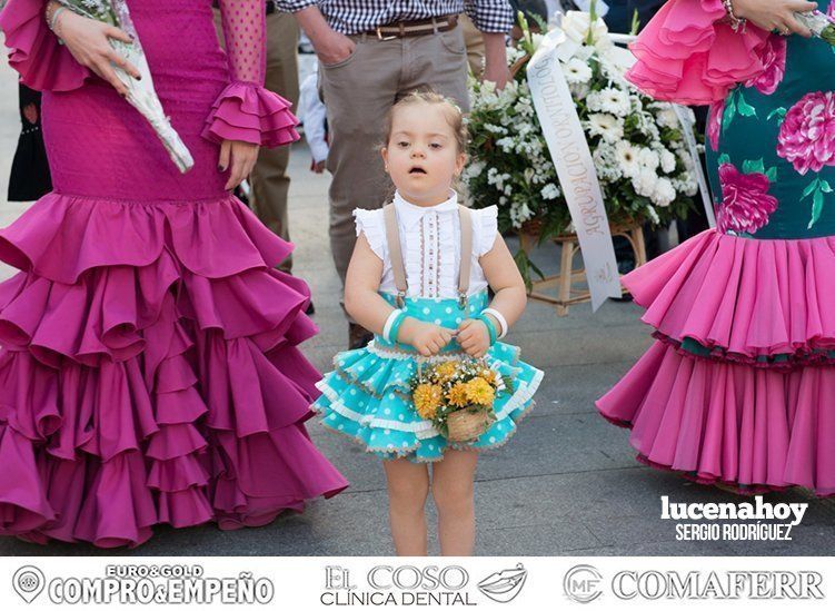 Galería: Ofrenda de flores: Una ingente manifestación de devoción aracelitana (I). Reportaje gráfico de Sergio Rodriguez