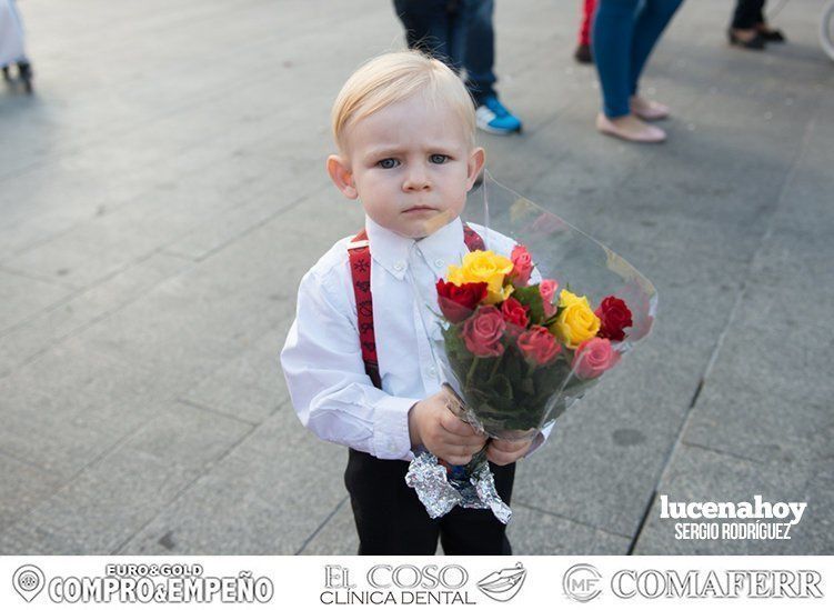 Galería: Ofrenda de flores: Una ingente manifestación de devoción aracelitana (I). Reportaje gráfico de Sergio Rodriguez