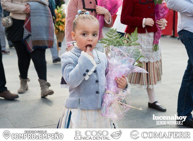 Galería: Ofrenda de flores: Una ingente manifestación de devoción aracelitana (I). Reportaje gráfico de Sergio Rodriguez