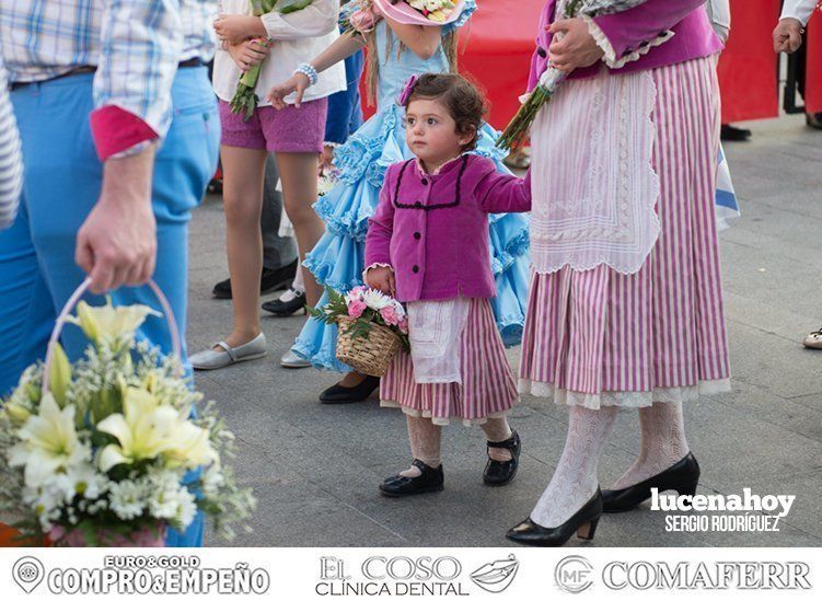 Galería: Ofrenda de flores: Una ingente manifestación de devoción aracelitana (I). Reportaje gráfico de Sergio Rodriguez