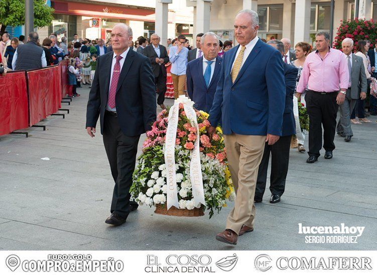 Galería: Ofrenda de flores: Una ingente manifestación de devoción aracelitana (I). Reportaje gráfico de Sergio Rodriguez