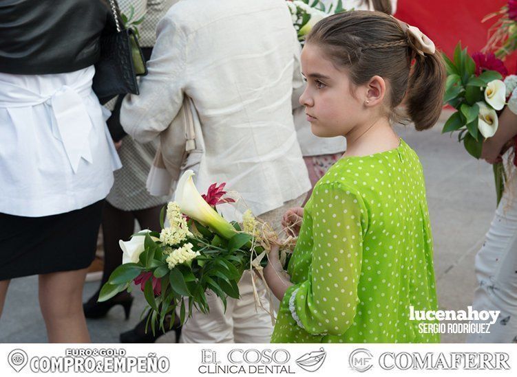 Galería: Ofrenda de flores: Una ingente manifestación de devoción aracelitana (I). Reportaje gráfico de Sergio Rodriguez