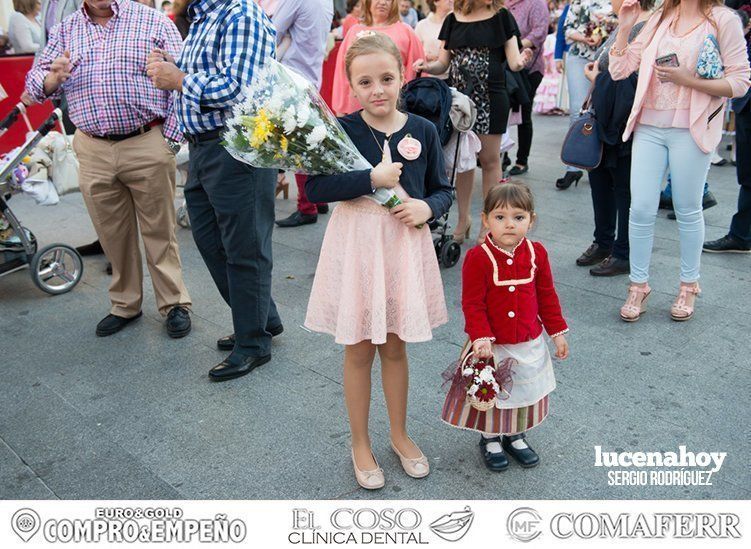 Galería: Ofrenda de flores: Una ingente manifestación de devoción aracelitana (I). Reportaje gráfico de Sergio Rodriguez