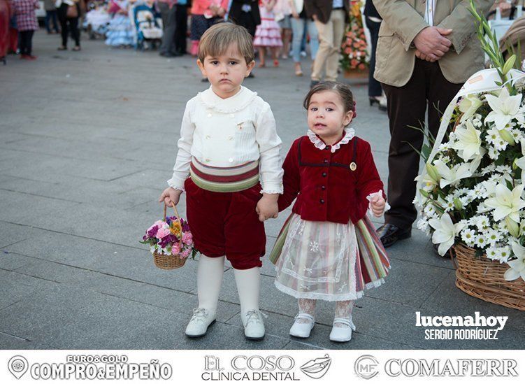 Galería: Ofrenda de flores: Una ingente manifestación de devoción aracelitana (I). Reportaje gráfico de Sergio Rodriguez