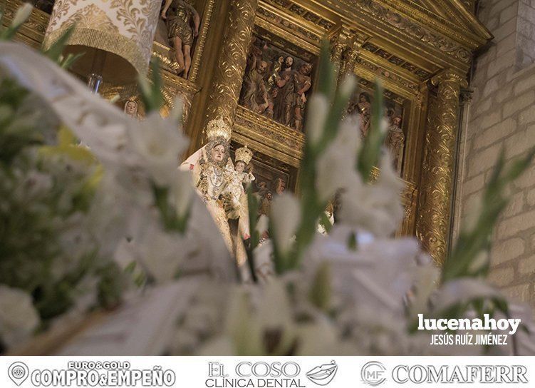 Galería: El Obispo de Córdoba preside la Solemne Función Religiosa entre los acordes de la Misa del Campo Andaluz Galería: El Obispo de Córdoba preside la Solemne Función Religiosa entre los acordes de la Misa del Campo Andaluz