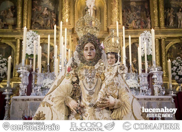 Galería: Largas colas en San Mateo para asistir al Besamanos de la Virgen de Araceli