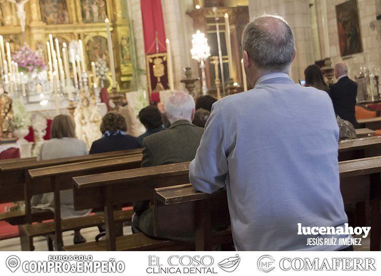 Galería: Largas colas en San Mateo para asistir al Besamanos de la Virgen de Araceli