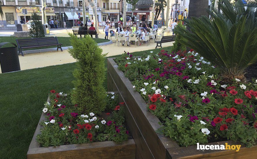  Uno de los remodelados jardines del paseo del Coso 