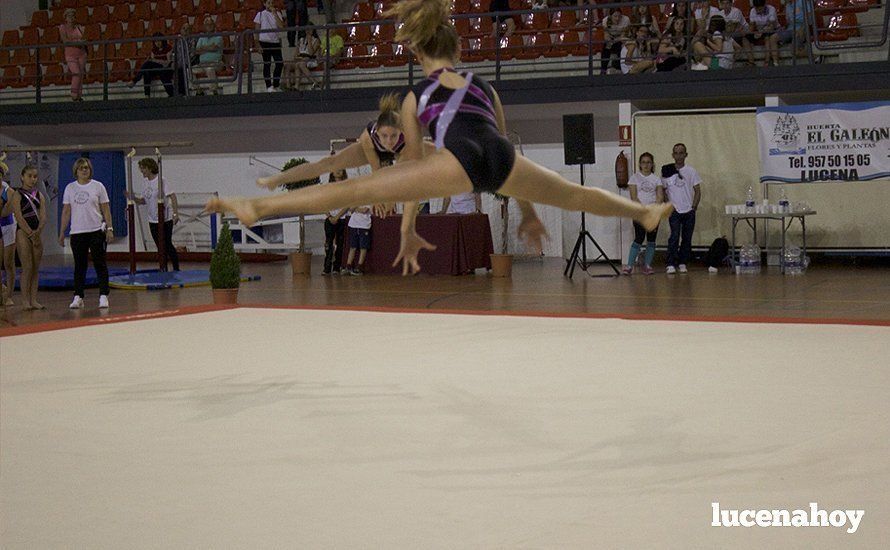 Galería: Los 200 componentes del Club Lucentino de Gimnasia inician el fin de semana de la gimnasia deportiva Galería: Los 200 componentes del Club Lucentino de Gimnasia inician el fin de semana de la gimnasia deportiva