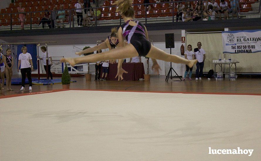 Galería: Los 200 componentes del Club Lucentino de Gimnasia inician el fin de semana de la gimnasia deportiva