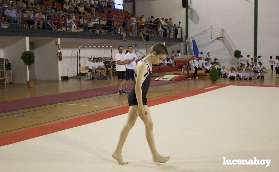 Galería: Los 200 componentes del Club Lucentino de Gimnasia inician el fin de semana de la gimnasia deportiva