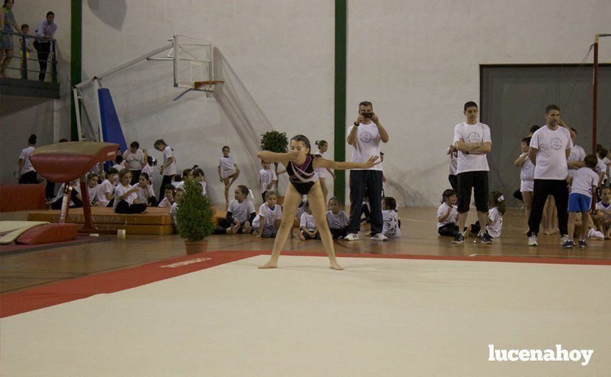 Galería: Los 200 componentes del Club Lucentino de Gimnasia inician el fin de semana de la gimnasia deportiva Galería: Los 200 componentes del Club Lucentino de Gimnasia inician el fin de semana de la gimnasia deportiva