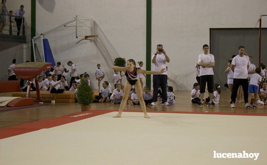 Galería: Los 200 componentes del Club Lucentino de Gimnasia inician el fin de semana de la gimnasia deportiva