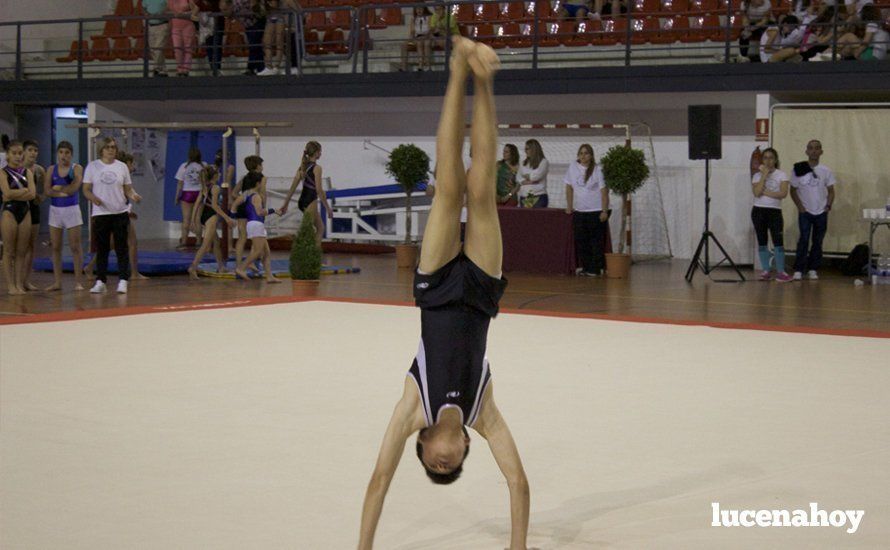 Galería: Los 200 componentes del Club Lucentino de Gimnasia inician el fin de semana de la gimnasia deportiva