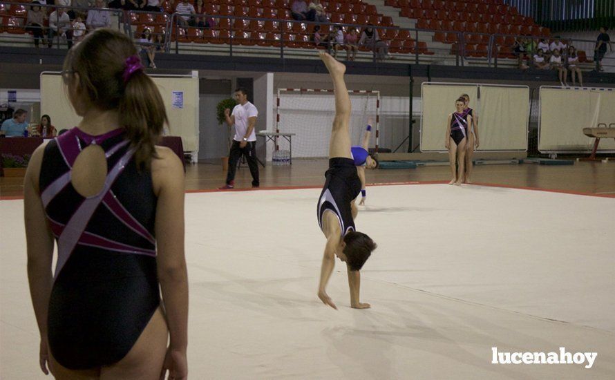 Galería: Los 200 componentes del Club Lucentino de Gimnasia inician el fin de semana de la gimnasia deportiva