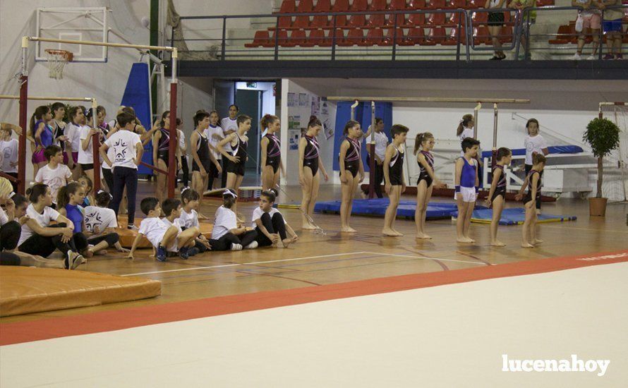 Galería: Los 200 componentes del Club Lucentino de Gimnasia inician el fin de semana de la gimnasia deportiva