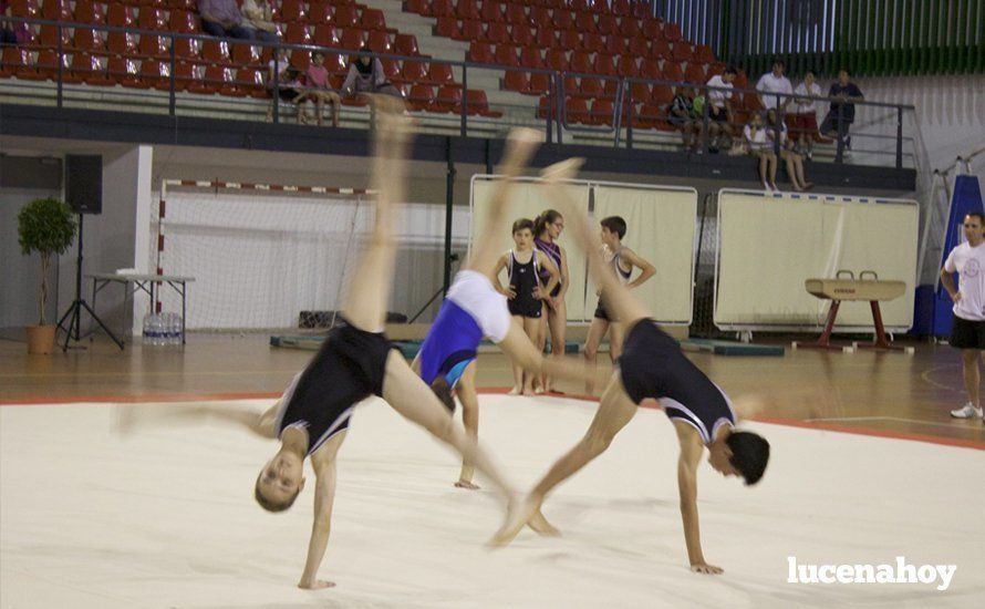 Galería: Los 200 componentes del Club Lucentino de Gimnasia inician el fin de semana de la gimnasia deportiva