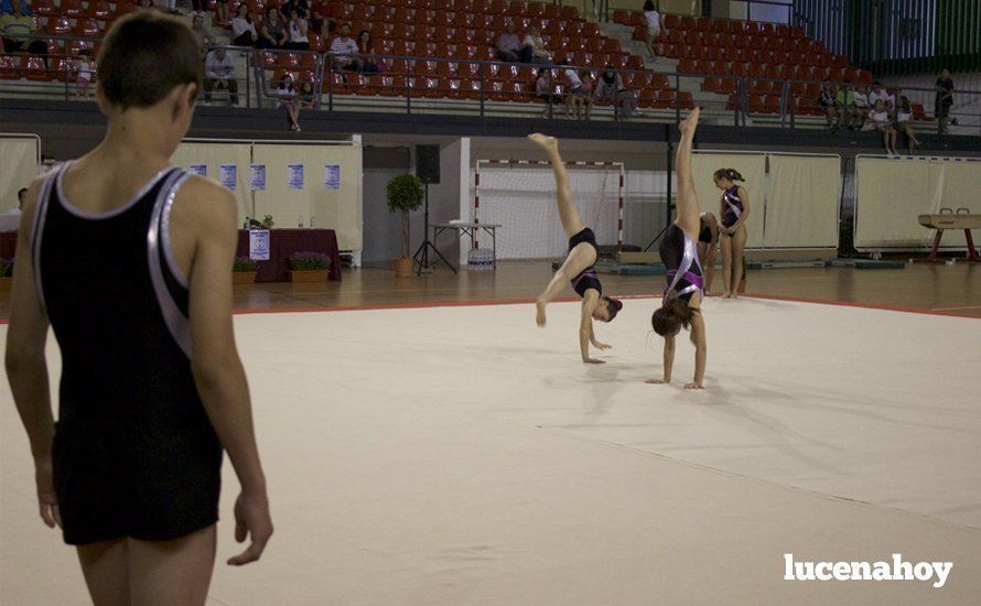 Galería: Los 200 componentes del Club Lucentino de Gimnasia inician el fin de semana de la gimnasia deportiva Galería: Los 200 componentes del Club Lucentino de Gimnasia inician el fin de semana de la gimnasia deportiva