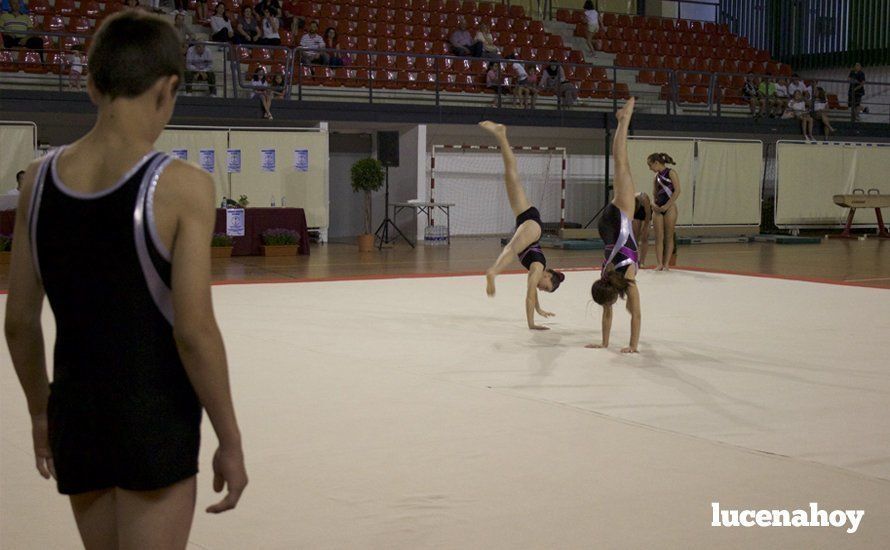 Galería: Los 200 componentes del Club Lucentino de Gimnasia inician el fin de semana de la gimnasia deportiva