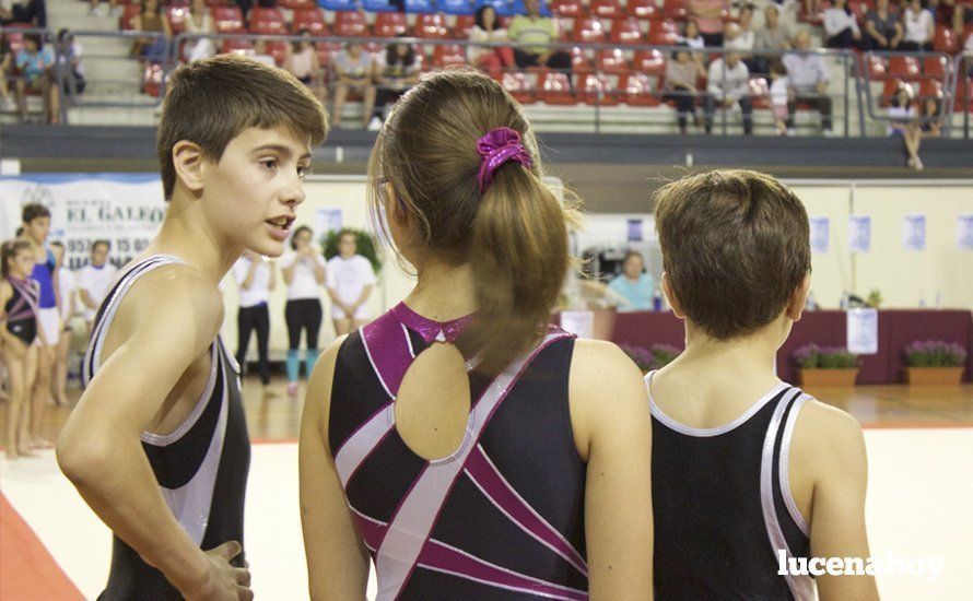 Galería: Los 200 componentes del Club Lucentino de Gimnasia inician el fin de semana de la gimnasia deportiva